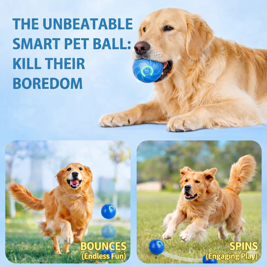 vaball- Solution Pet's Boredom